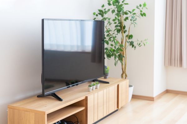 TV Stand Assembly in Battle Ground